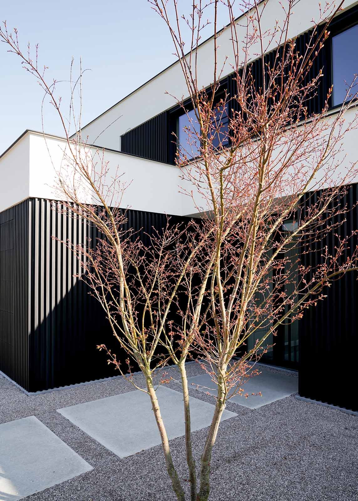 villabouw-nieuwbouw-bachte-maria-leerne-gent-4