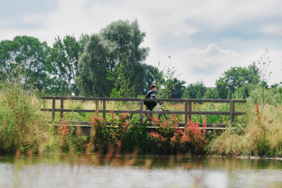 summer-beeld-TieltZuid-1200